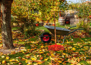 Fall & Winter Garden Tips: How to Keep Your Yard Alive